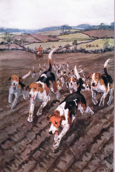 In Utrumumque Paratus: In a Rattling Good Gallop with Hounds and Horses, from Poems of Adam Lindsay Gordon Published by T. N. Foulis, 1912 by Godfrey Douglas Giles